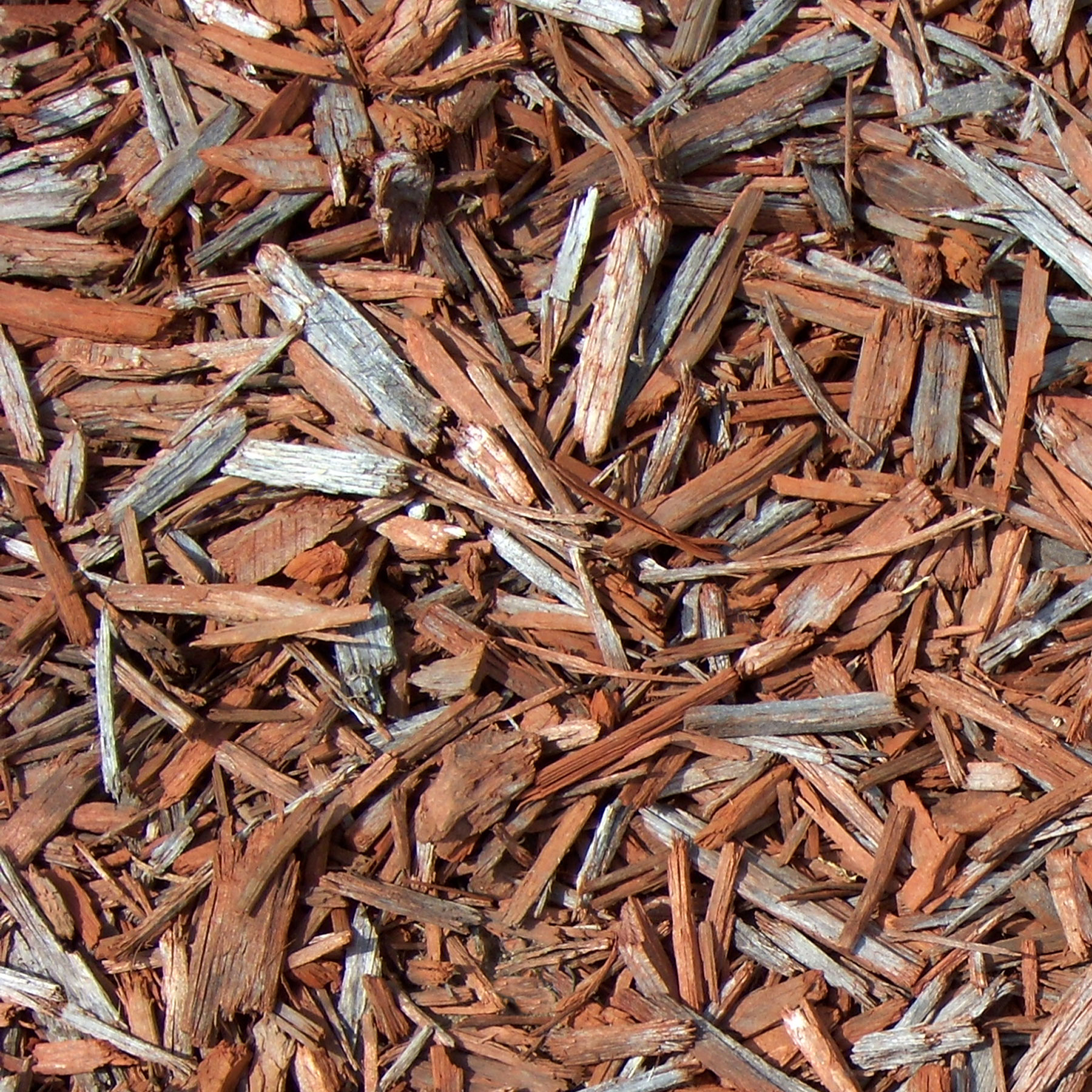 Rose Mulch